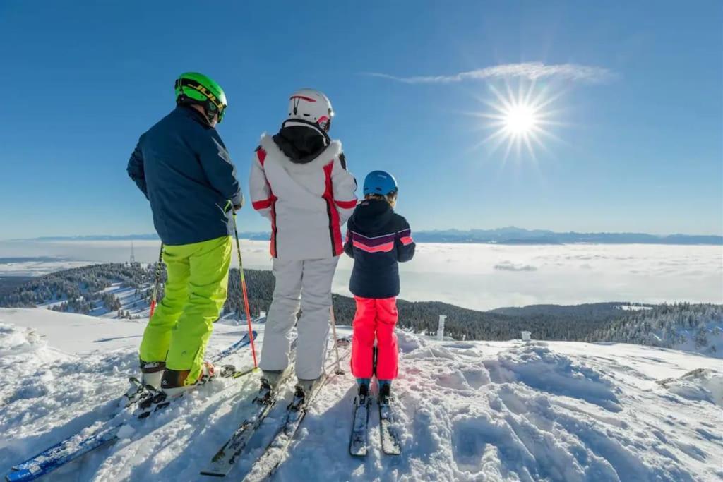 Studio Chaleureux Au Depart Des Sentiers Et Pistes De Ski Lajoux Exterior foto